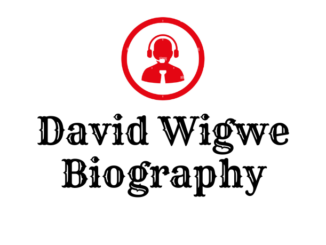 David Wigwe Biography