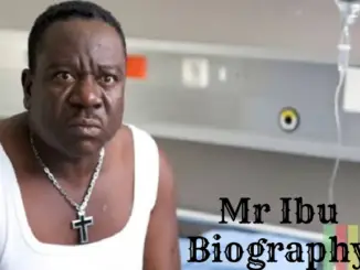 Mr Ibu Biography